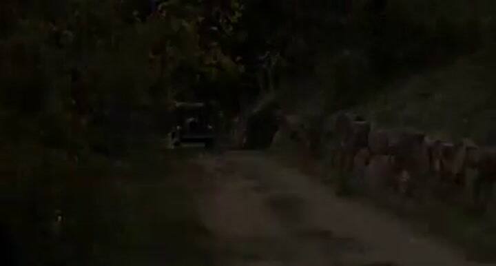 Robert Pattinson como Salvador Dalí