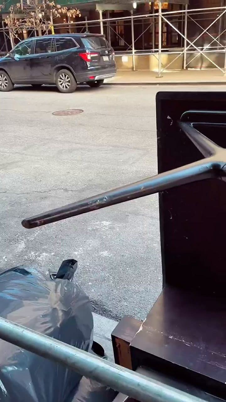 El primer video de la cirujeada, que se volvió furor