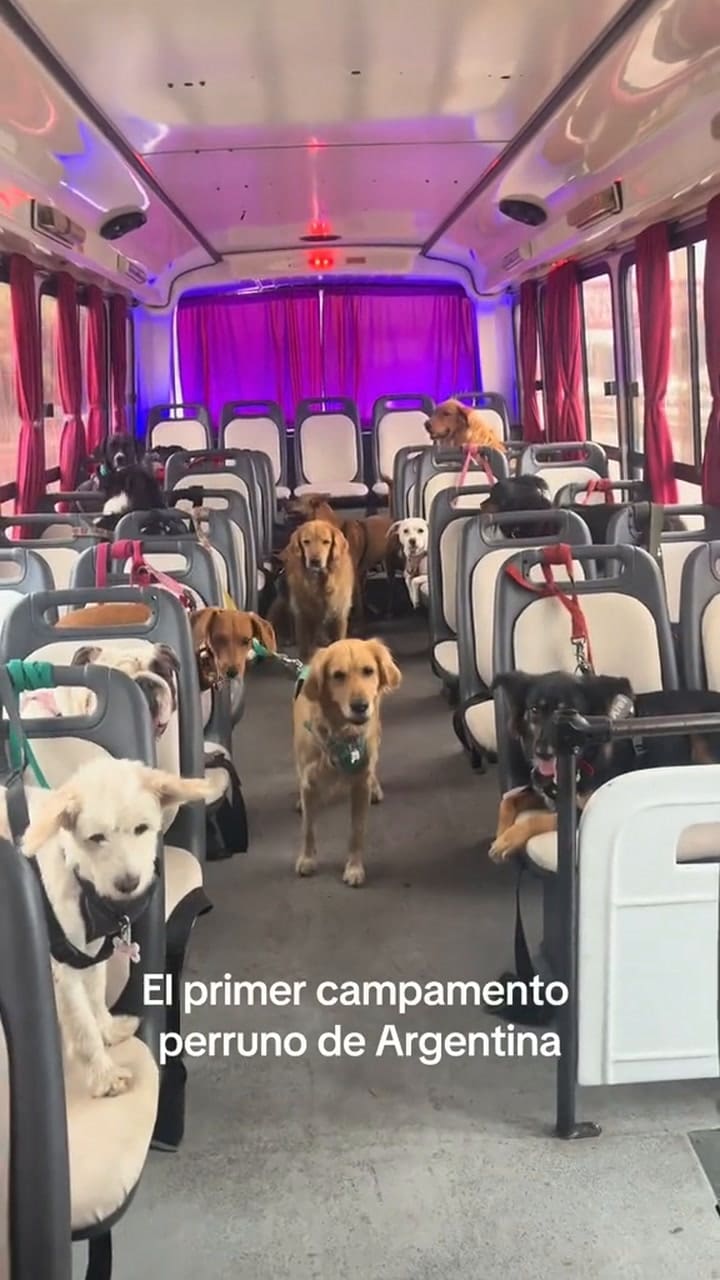 El video que se volvió viral