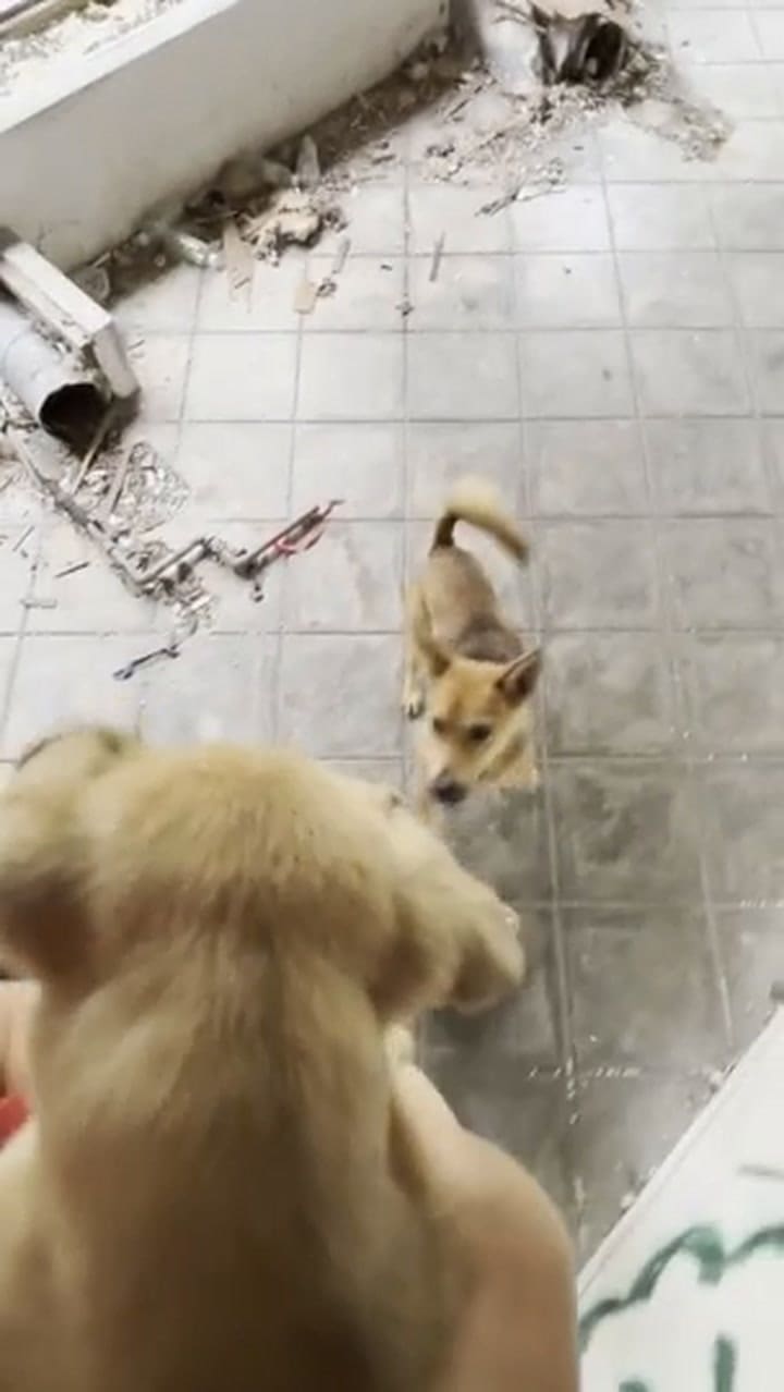 El video del momento se volvió viral en las redes