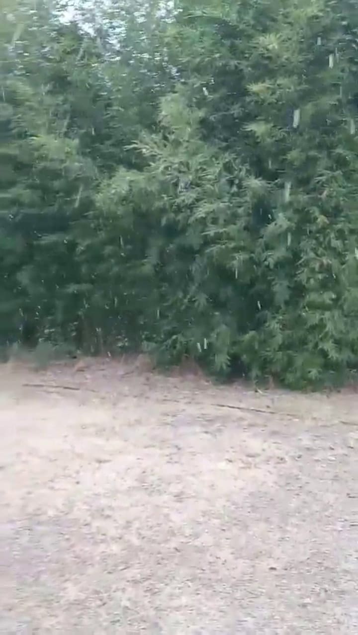 Mina Clavero, Córdoba, registró caída de nieve durante la jornada de este domingo 29 de junio