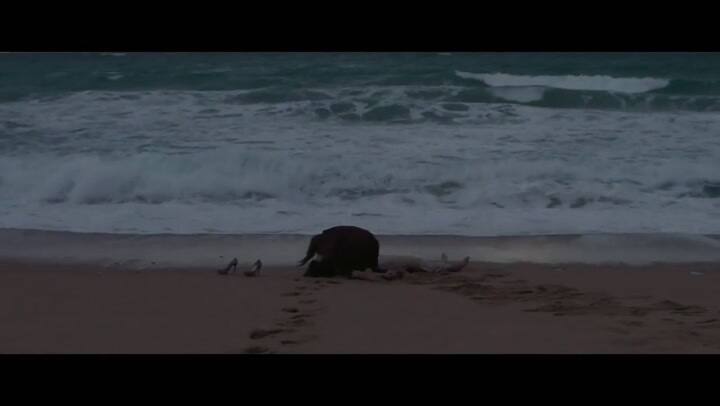 Trailer - Quién te cantará - Fuente: SSIFF 2018