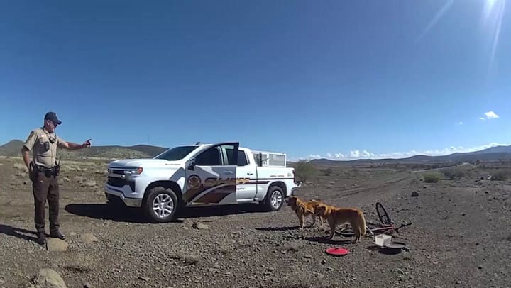 El rescate de dos perros en el desierto