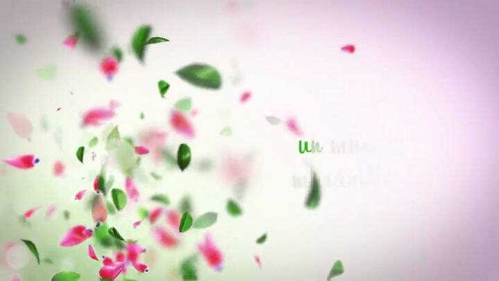 Trailer de Cara sucia, con la magia de la naturaleza - Fuente: YouTube