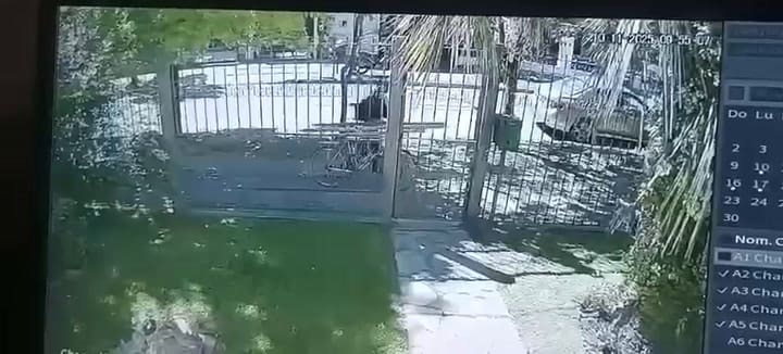 Crimen en City Bell: las filmaciones que permitieron identificar al sospechoso