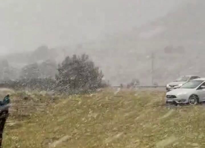 GIF - nieve