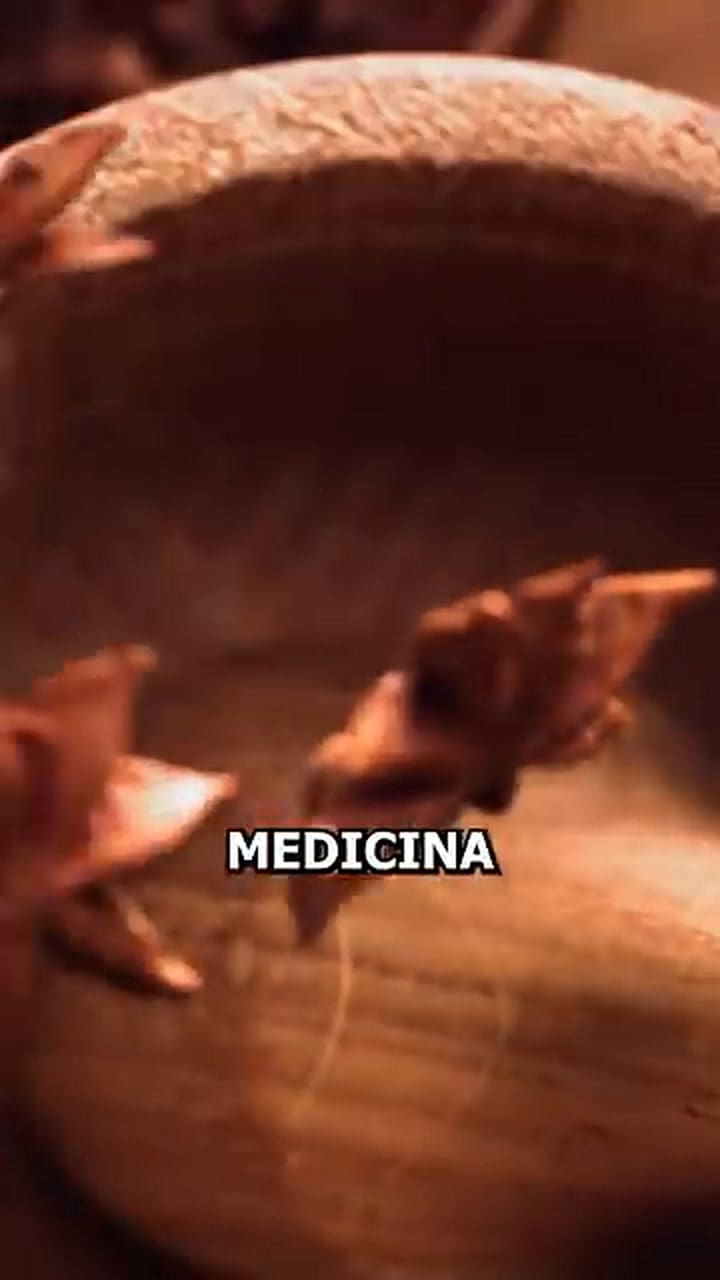 El anís estrellado cura el dolor articular, previene la gripe y ayuda a fortalecer los huesos