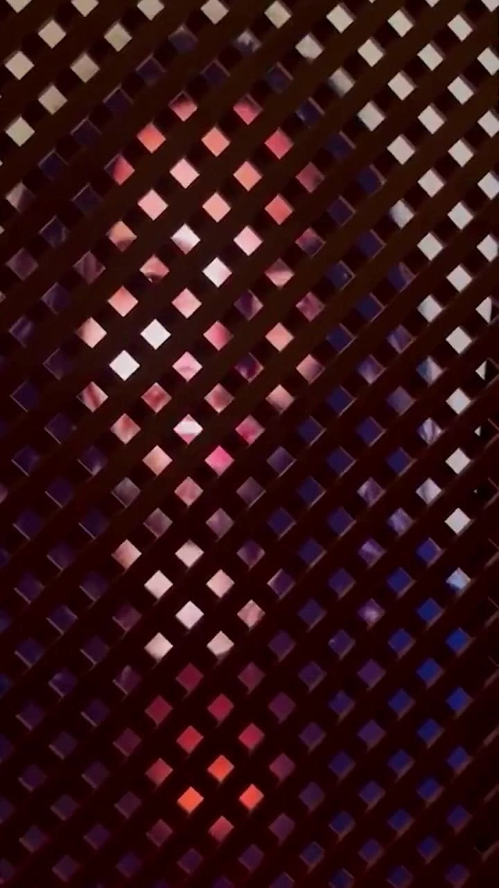 Ssstwitter.com 1732835774977 (Online-video-cutter.com)