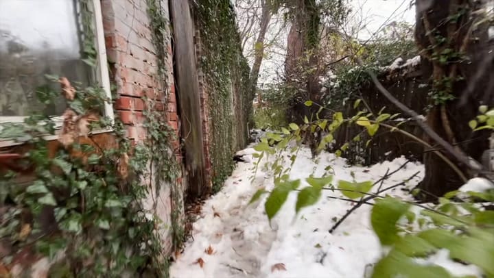 El rescate de una perra y sus cachorros tras la tormenta de nieve