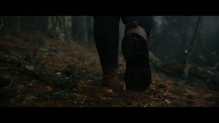 El lorito robusto que habita en Sudáfrica y está en peligro de extinción