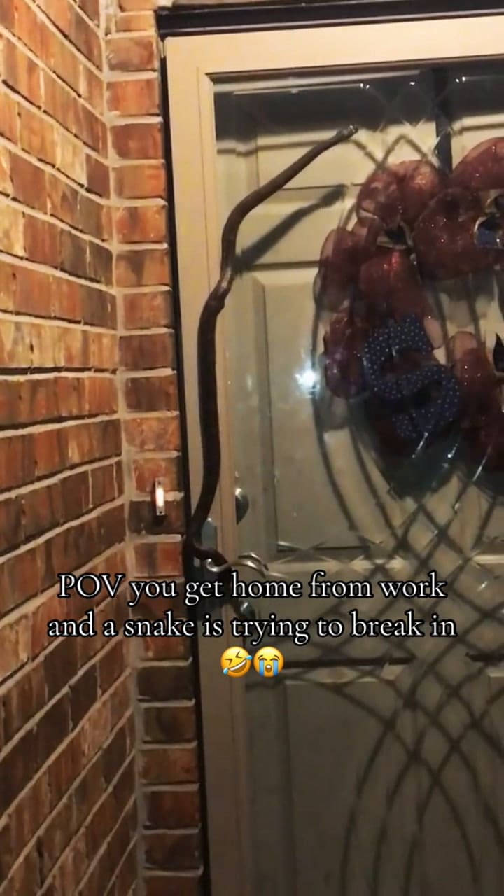 Una mujer se encontró con una serpiente en la puerta de su casa (TikTok: @mamasydfidd)
