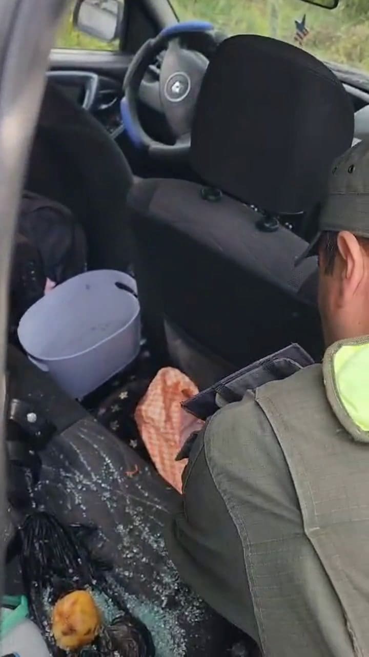 Secuestro de 240 kilos de cocaína en Tucumán