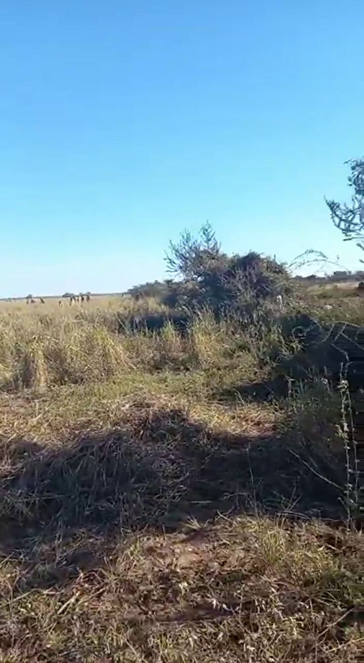Hay decenas de personas en el campo tomado