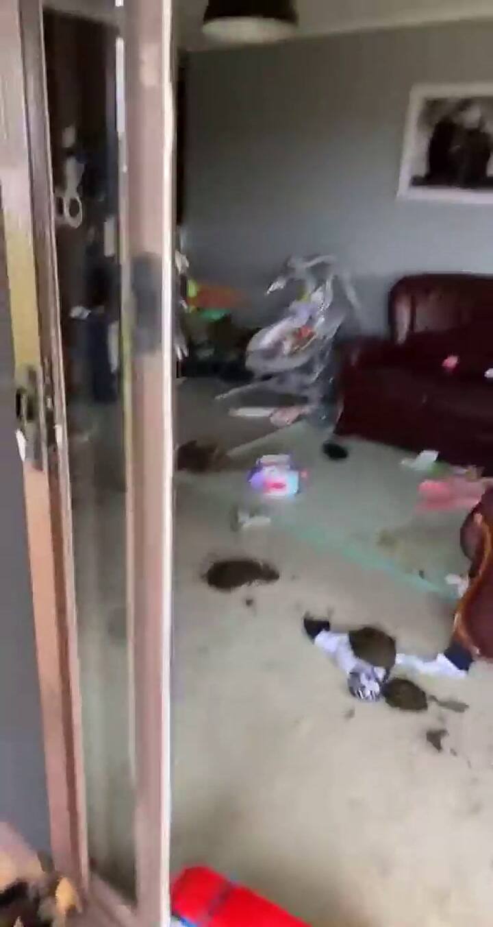 Dejó a las vacas solas y al volver a la casa la encontró destruida