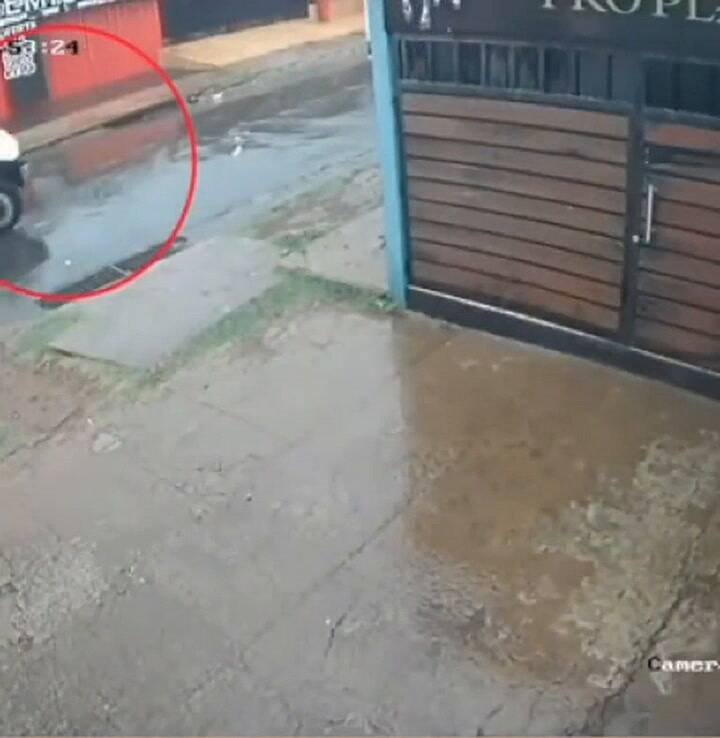 Arrolló a un perro a propósito y ahora se enfrenta a una causa penal