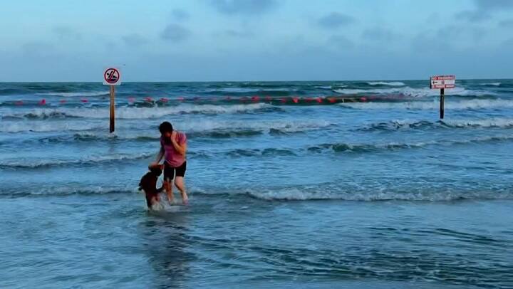 Koch y su perra disfrutan del mar