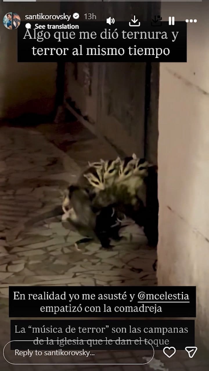 Celeste Cid y Santiago Korovsky protagonizaron un viral encuentro con una zarigüeya y sus crías durante una caminata nocturna