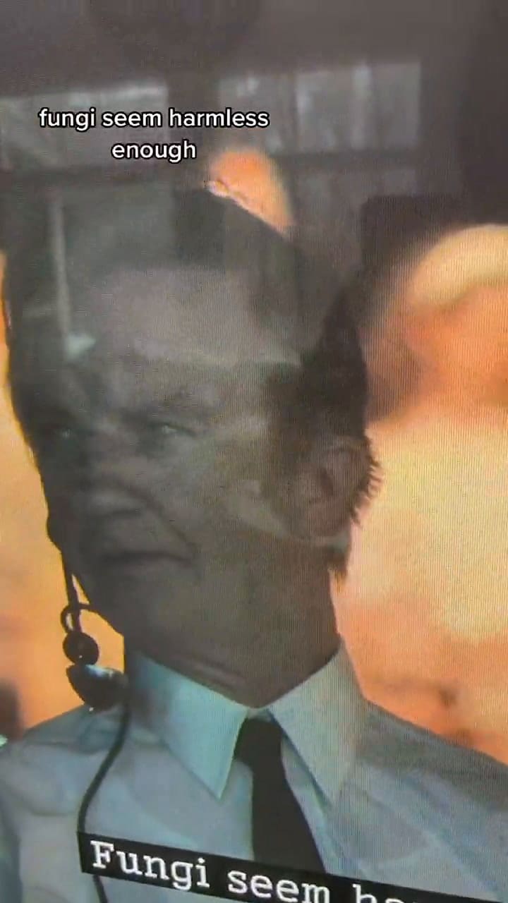 Una mujer fanática de los hongos muestra una 'hormiga zombi'