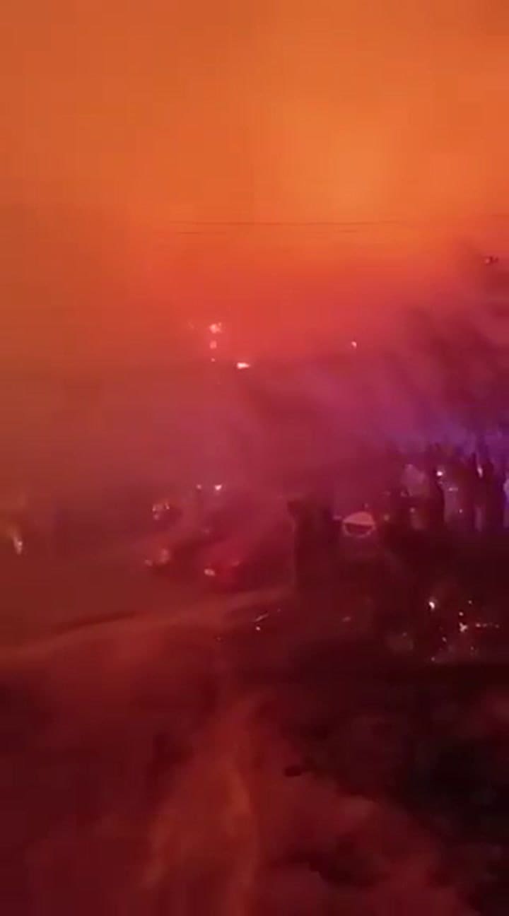 Incendios forestales en Chile: al menos 15 personas fallecidas