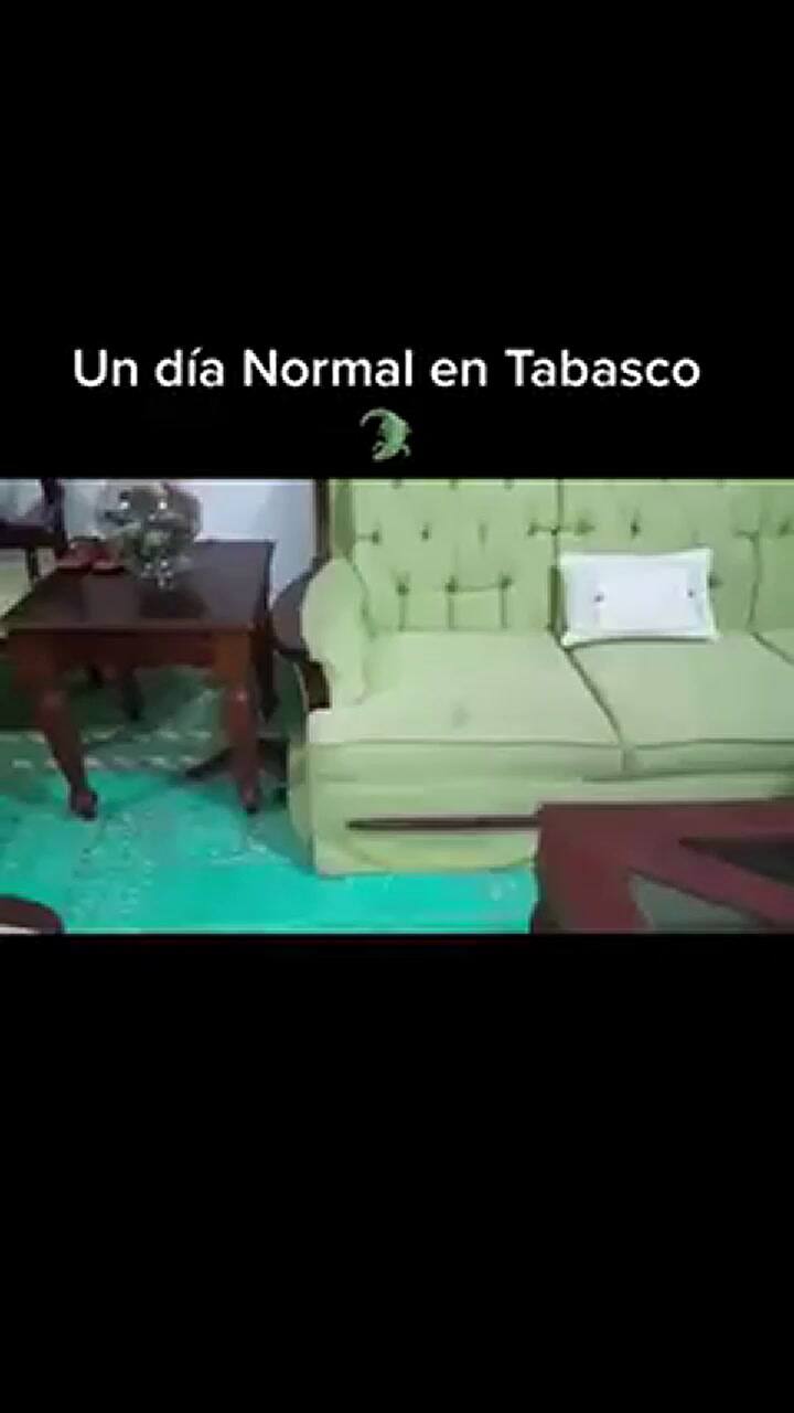 Un cocodrilo hizo una aparición especial en una casa de Tabasco, en México