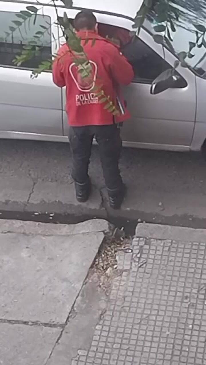 Coimas