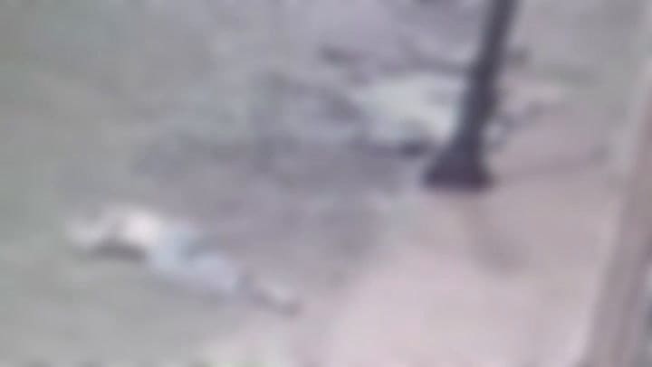 El video que lo cambia todo: así cayó Matilda desde el segundo piso y por qué su novio está detenido