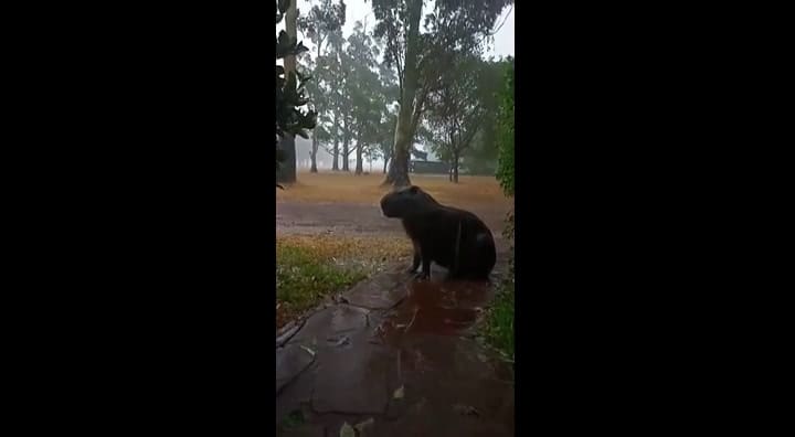 Lluvias en Corrientes