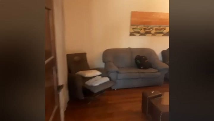 Intentó robar marihuana de una terraza y expuso un gran cultivo ilegal cuyo propietario por ahora no aparece