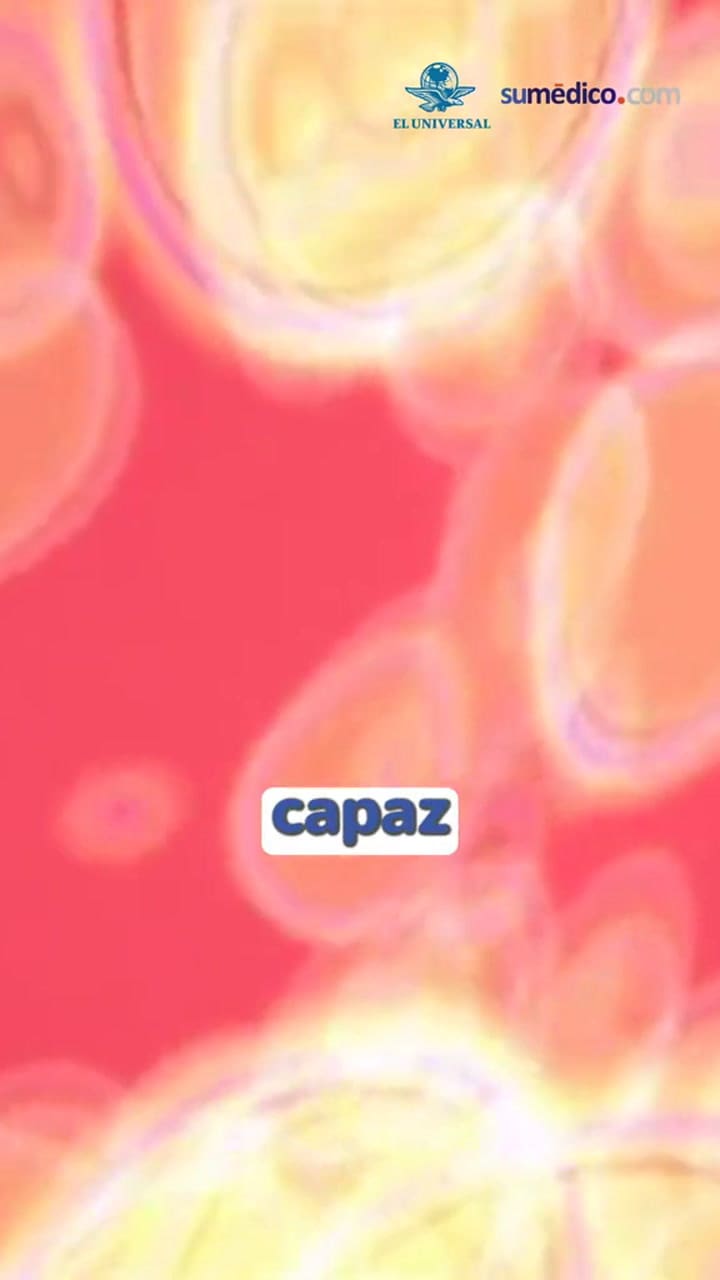 ¿Qué Beneficios Tiene Comer Miel Todos Los Días