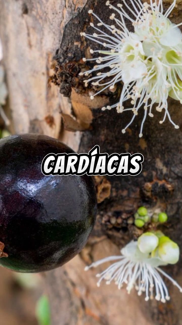 Todos los aportes de la jabuticaba al cuerpo