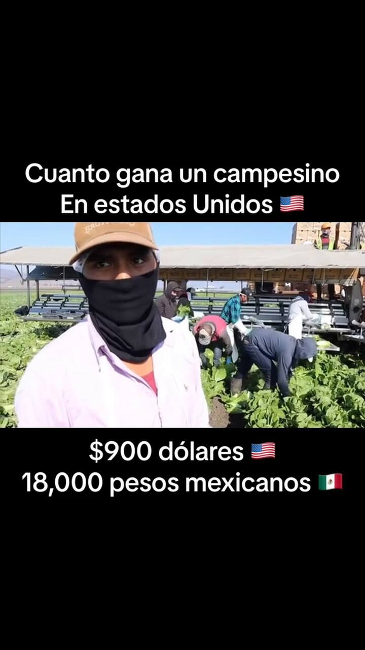 Campesino Eeuu