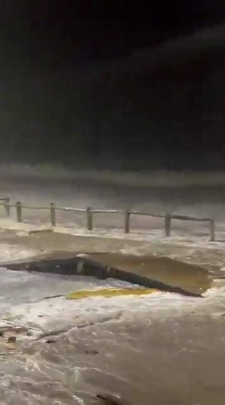 Temporal Necochea II