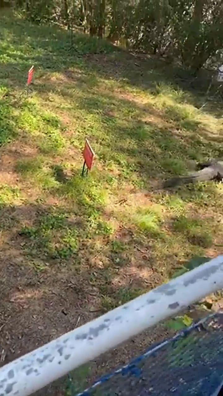 El video viral del enfrentamiento entre el hombre con una sartén y un cocodrilo