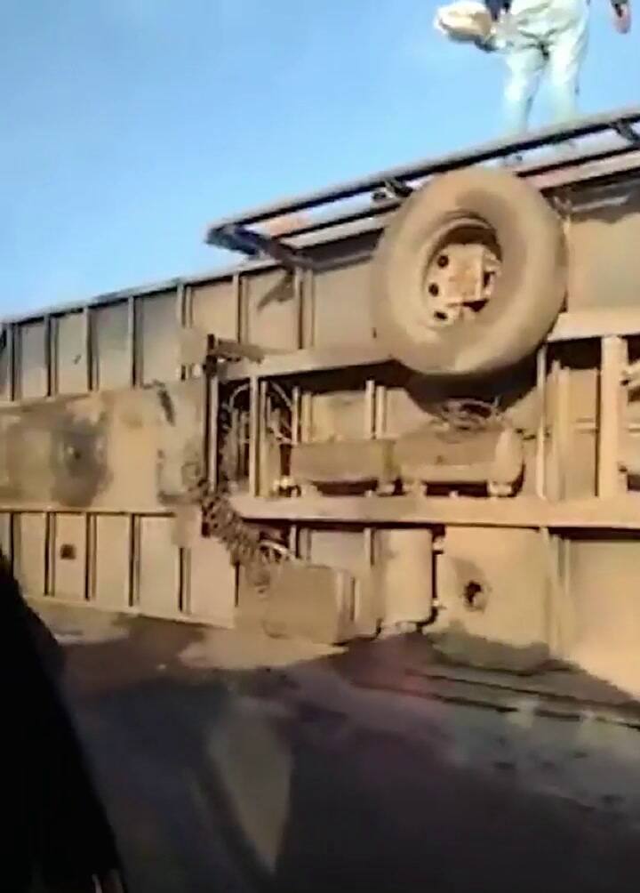 Volcó un camión con ganado y los vecinos hicieron una faena en plena ruta