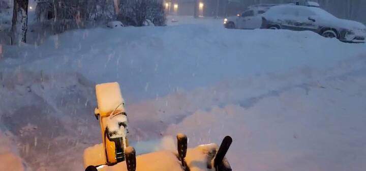 La nevada en Flagstaff, Arizona, ocasionó el cierre de caminos