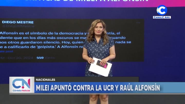 Graciela Fernández Meijide Sobre Los Dichos De Milei A La Ucr En Córdoba