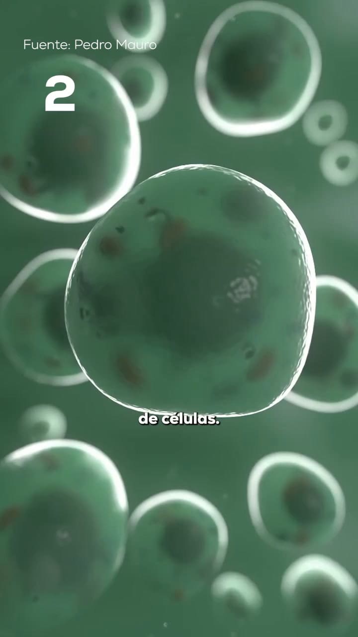 Los cinco datos sorprendentes del cuerpo humano