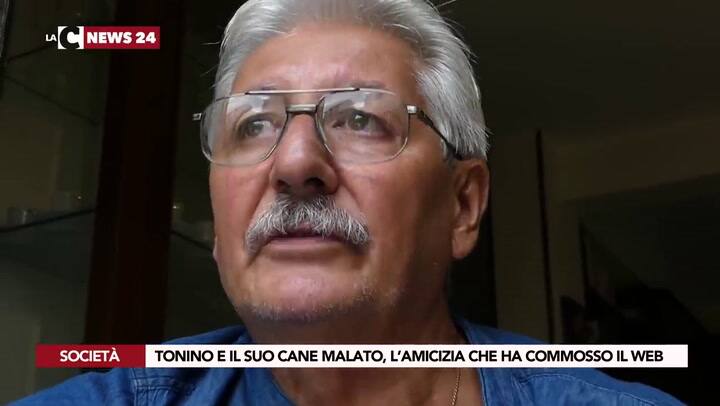 La enternecedora historia de un hombre y su perro - Fuente: YouTube