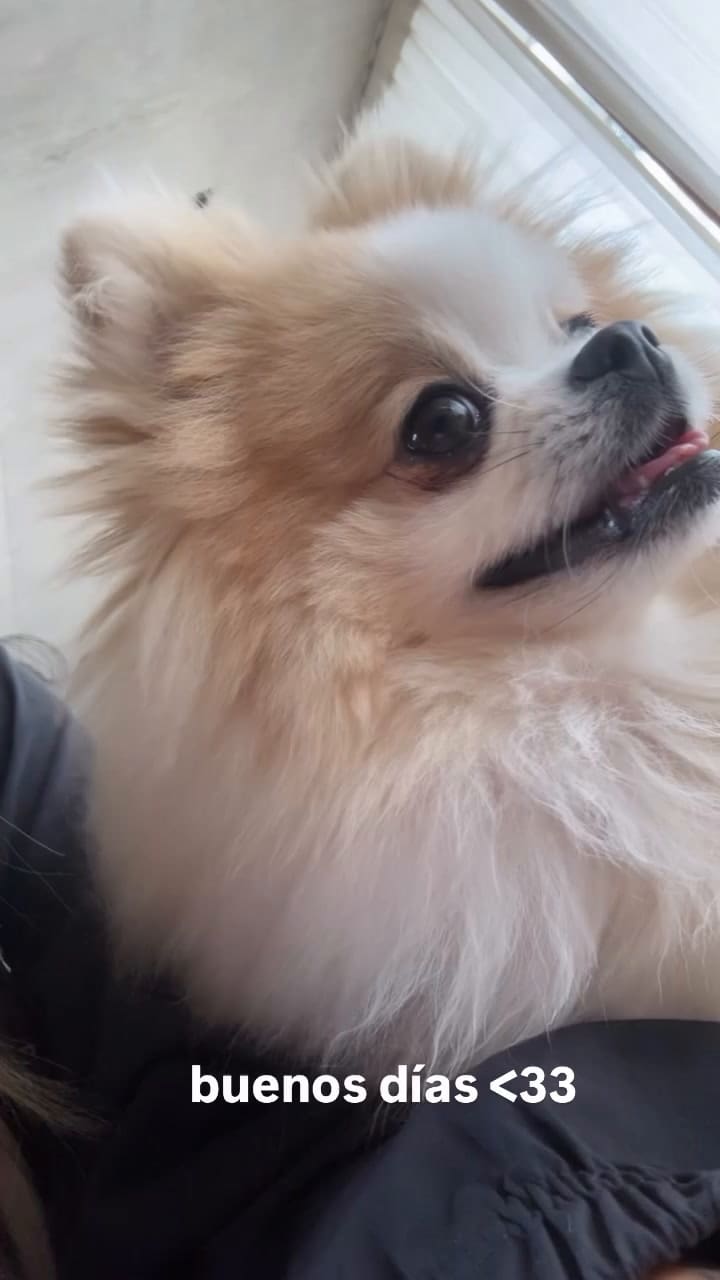 La última historia que subió Nicki a su cuenta de Instagram