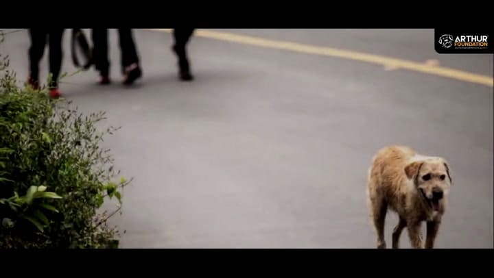 El relato del dueño de Arthur