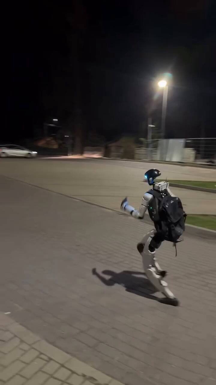 Las imágenes del robot junto a los jabalies se hicieron virales