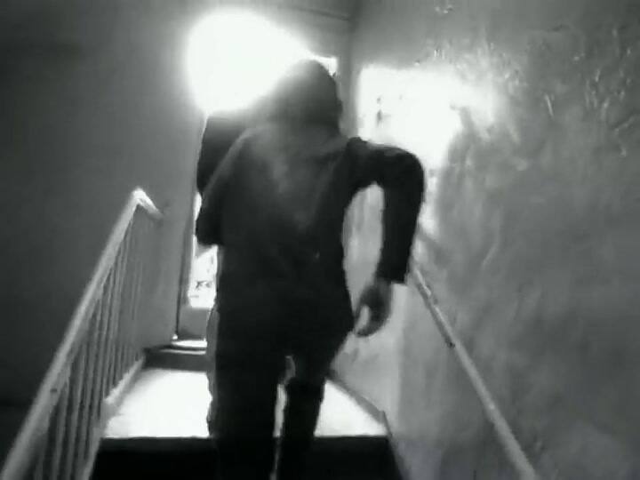 Jarabe De Palo | La Flaca