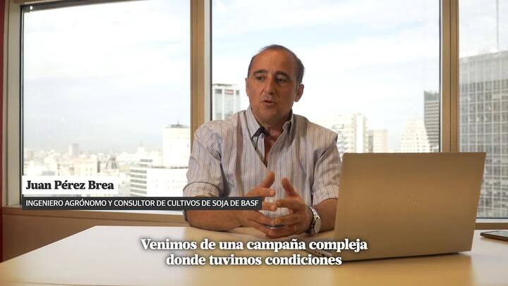 Soja: ¿Por qué optimizar su rendimiento será clave este año?