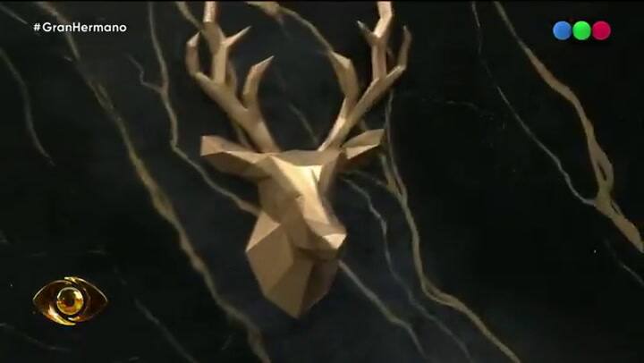 La reacción de los hermanitos a la salida de Mavinga