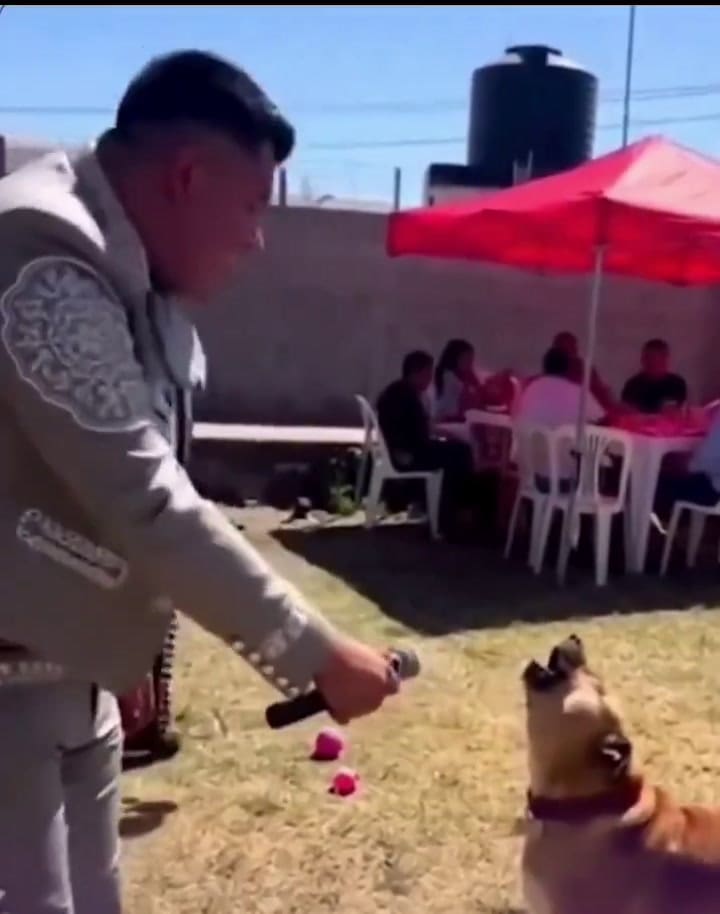 El perro que cantó junto al mariachi