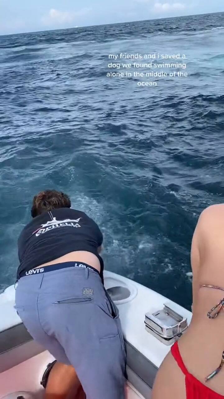 El conmovedor video que se volvió viral