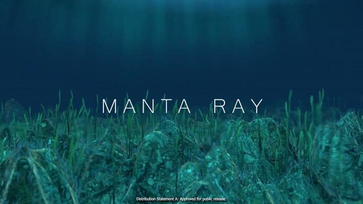 Desarrollan un dron submarino con forma de mantarraya