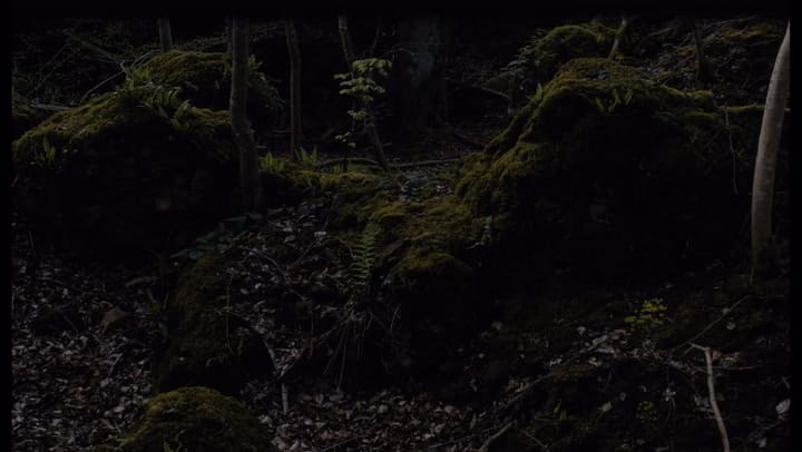 El video que compartió Chloé Zhao en la previa de los Oscar