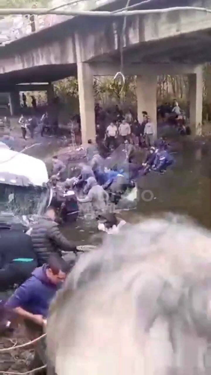 Mercedes: un camión con 59 terneros cayó a un río y los vecinos los faenaron en el lugar del accidente