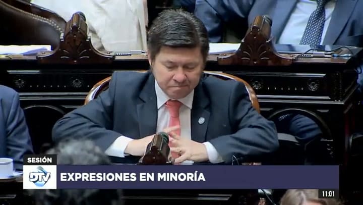 Diputado Almirón, Lisandro - LLA - Expresiones en minoría 28-11-2024